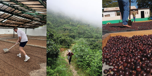Know Your Coffee : Trazabilidad & Transparencia.