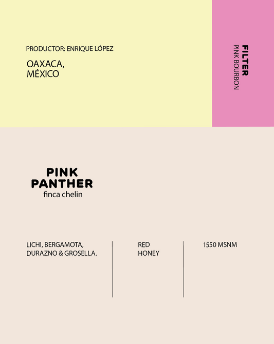 El soñador